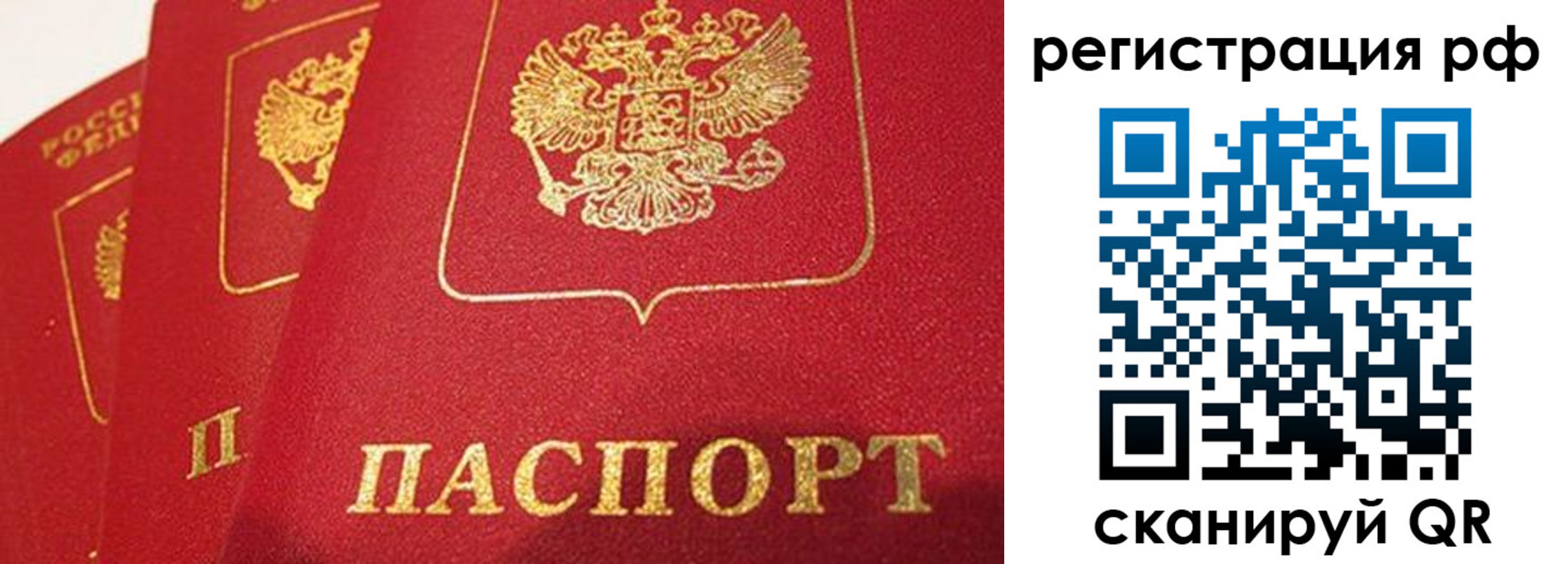 прописка поиск в Людиново
